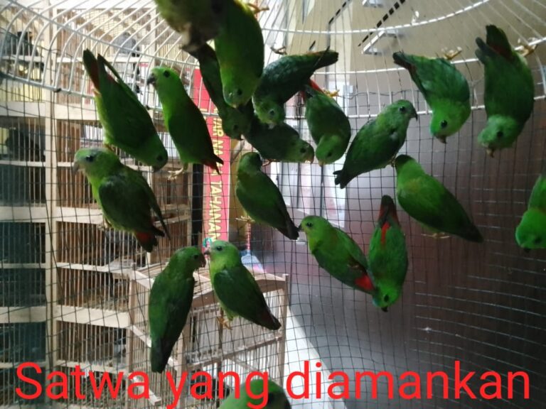 WhatsApp Image 2021-11-25 at 23.14.26 (1)