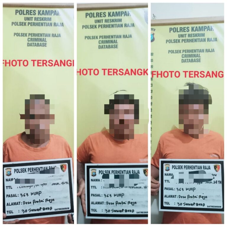 WhatsApp-Image-2022-01-31-at-21.19.08