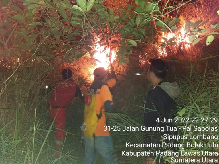 IMG-20220605-WA0006