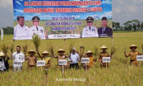 IMG-20220922-WA0002