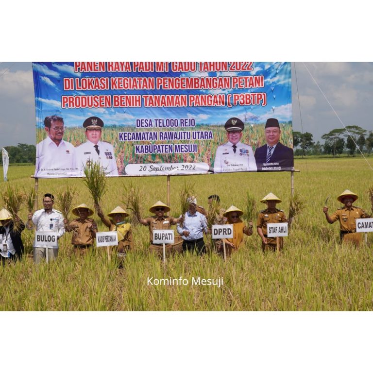 IMG-20220922-WA0002