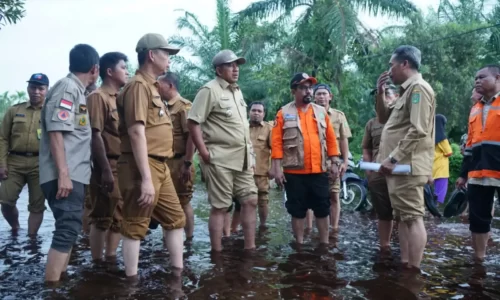 WhatsApp-Image-2022-10-19-at-07.34.18