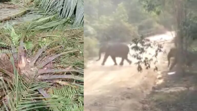 IMG_20221115_171047