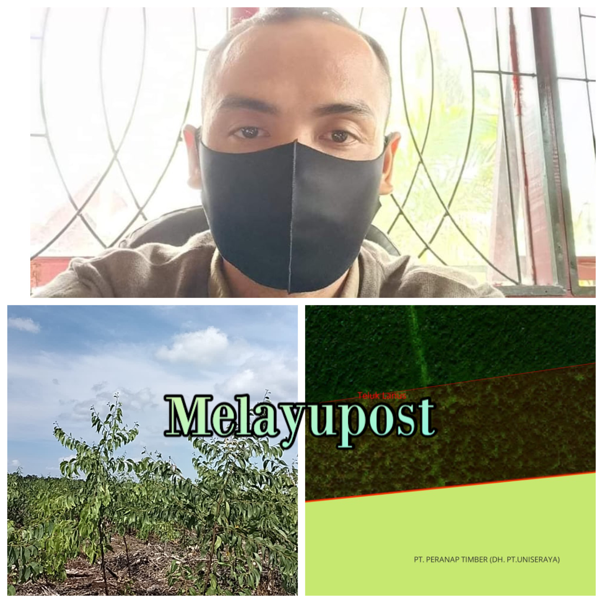 created by InCollage