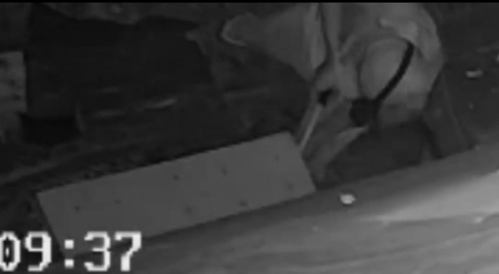 IMG-20250923-WA0008